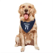 Axel Jonsson-Fjallby Winnipeg Jets  Dog & Cat Pet Bandana - Navy