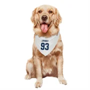 Brad Lambert Winnipeg Jets  Dog & Cat Pet Bandana - White