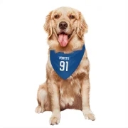 Cole Perfetti Winnipeg Jets  Dog & Cat Pet Bandana - Blue