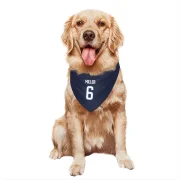 Colin Miller Winnipeg Jets  Dog & Cat Pet Bandana - Navy