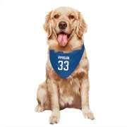 Dustin Byfuglien Winnipeg Jets  Dog & Cat Pet Bandana - Blue