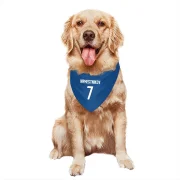 Vladislav Namestnikov Winnipeg Jets  Dog & Cat Pet Bandana - Blue