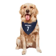 Vladislav Namestnikov Winnipeg Jets  Dog & Cat Pet Bandana - Navy