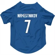 Vladislav Namestnikov Winnipeg Jets  Dog & Cat Pet Jersey - Blue